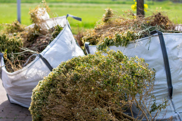 Best Estate Cleanout  in Marsing, ID
